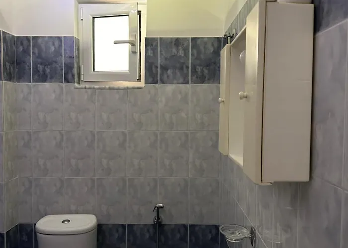 Lemon Tree סרנדה